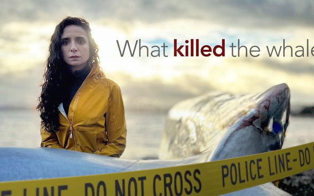 Prisma: Mikä tappoi valaan? | Katso kaikki ohjelmatiedot | TV-opas | Telkku